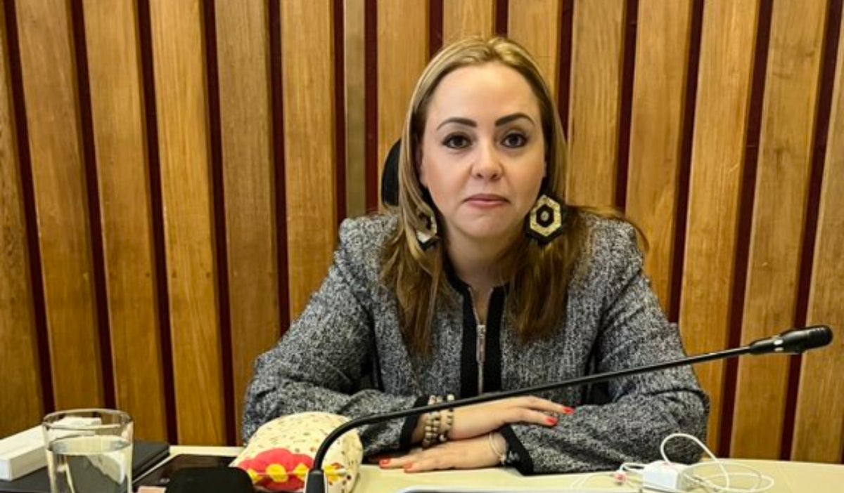 Diputada Verónica Arango