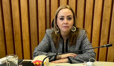 Diputada Verónica Arango