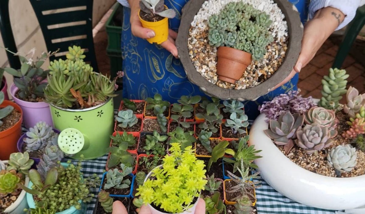 Feria Verde Bogotá