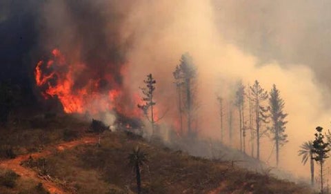 Incendio forestal en Chile