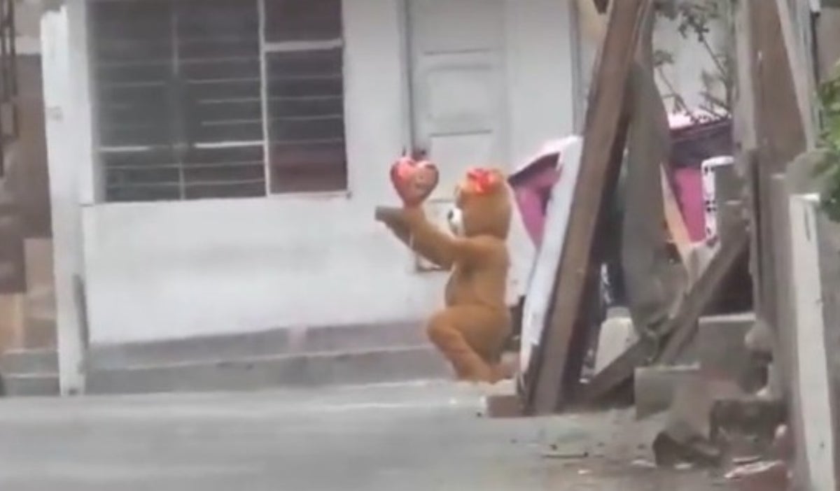 Disfraz de oso
