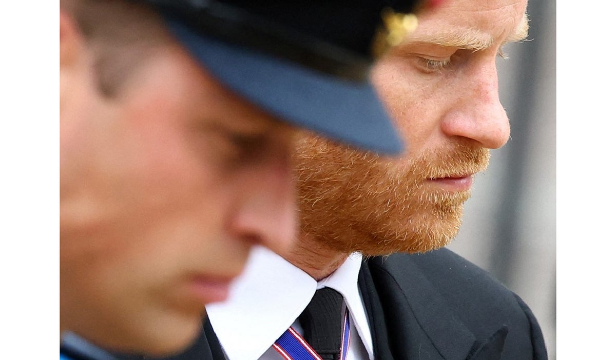 Periodista inglesa revela posible causa de distanciamiento entre William y Harry