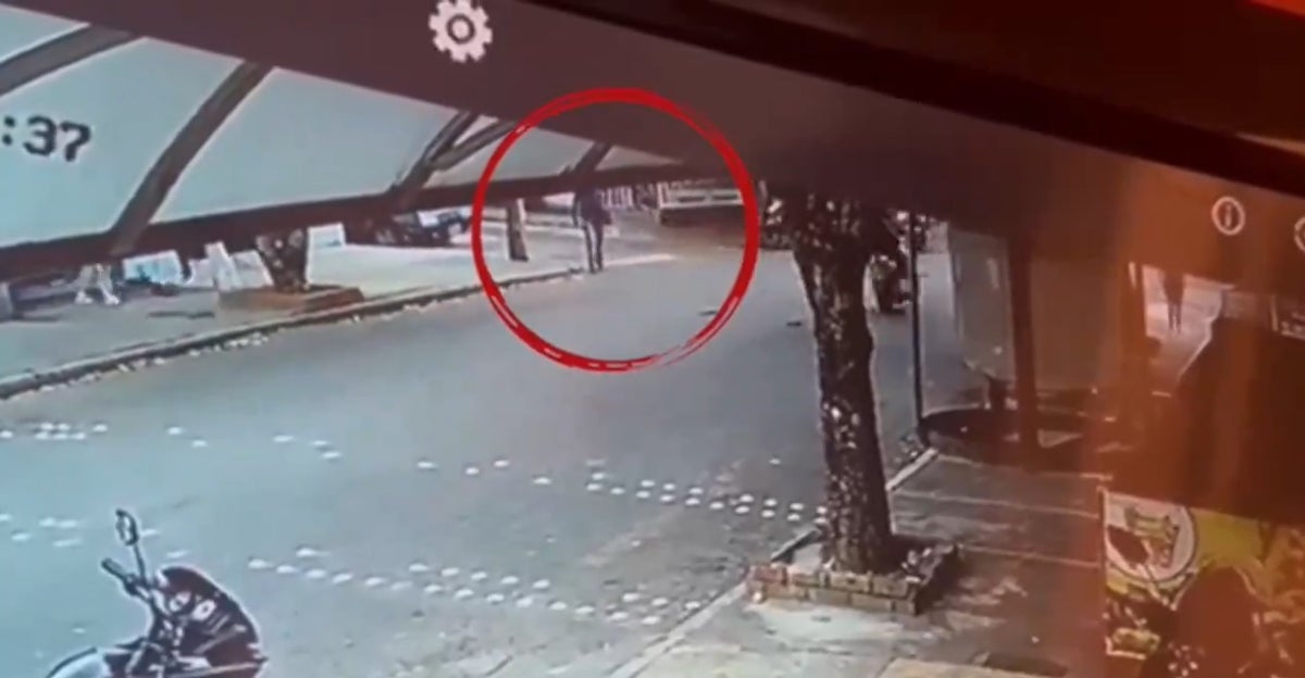 En video quedó evidenciado el hurto a mascotas.