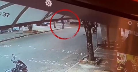 En video quedó evidenciado el hurto a mascotas.