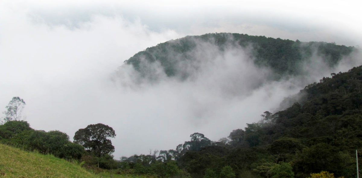 Parque de Niebla Soacha