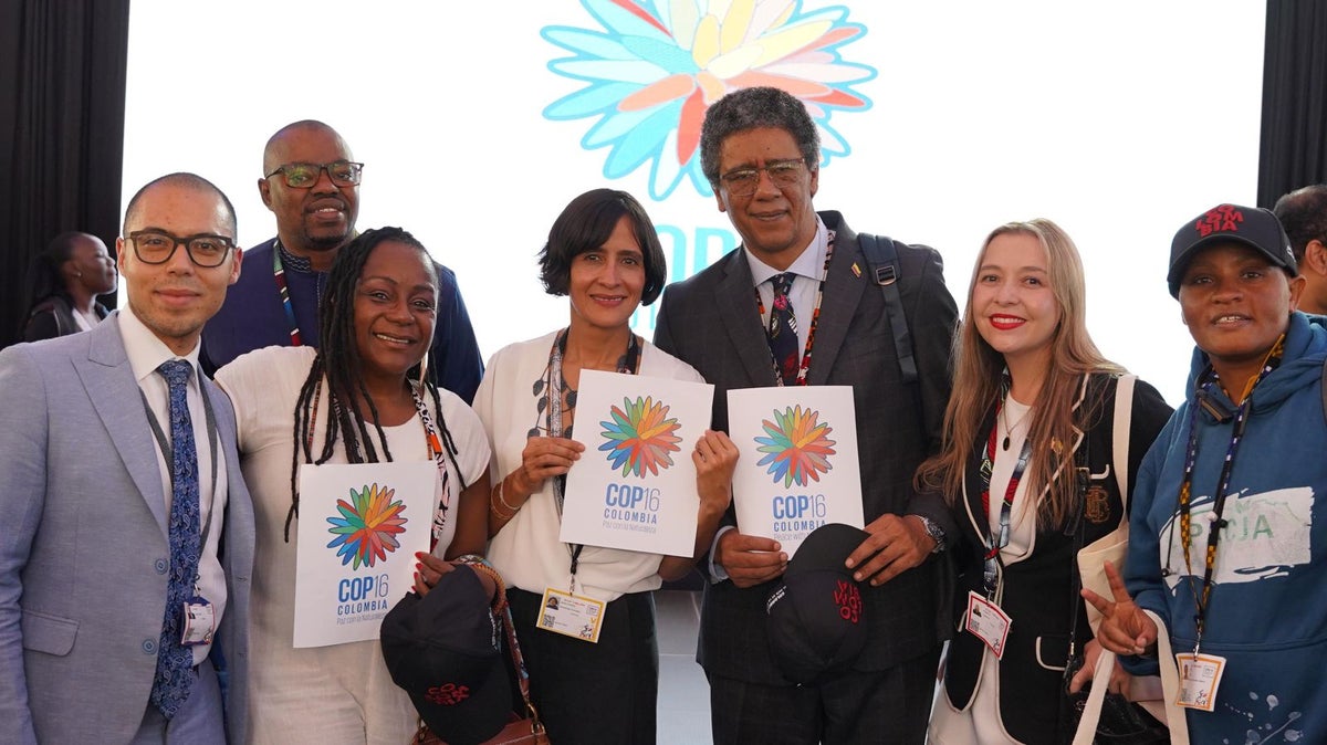 Imagen oficial de la COP16