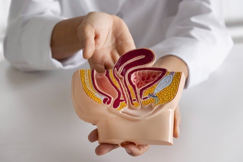 Adiós a la colonoscopia para descubrir el cáncer de colon
