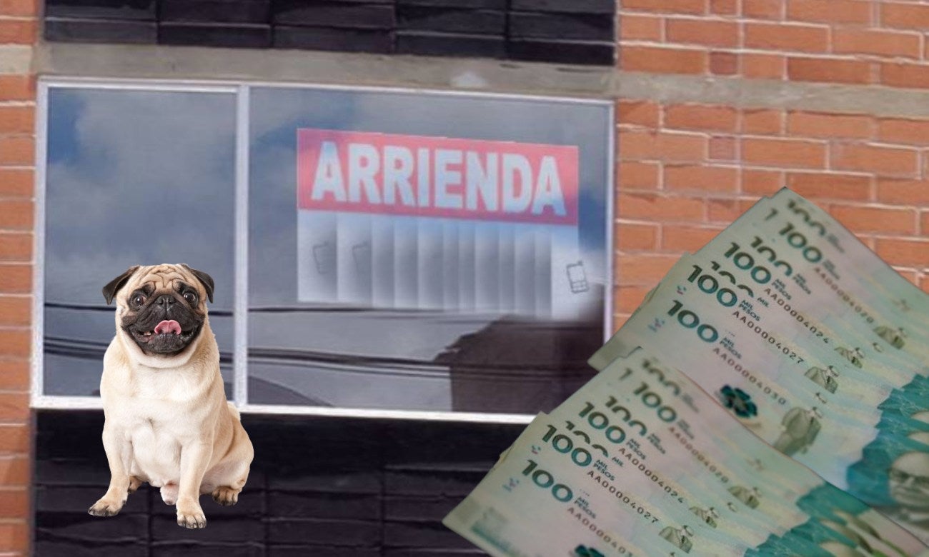 Arriendos en Colombia ¿Le pueden cobrar depósito o prohibir tener mascotas
