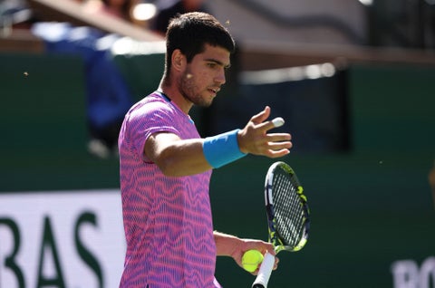 Ataque de abejas en partido entre Alcaraz y Zverev