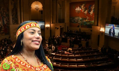 senadora Martha Peralta Epieyú