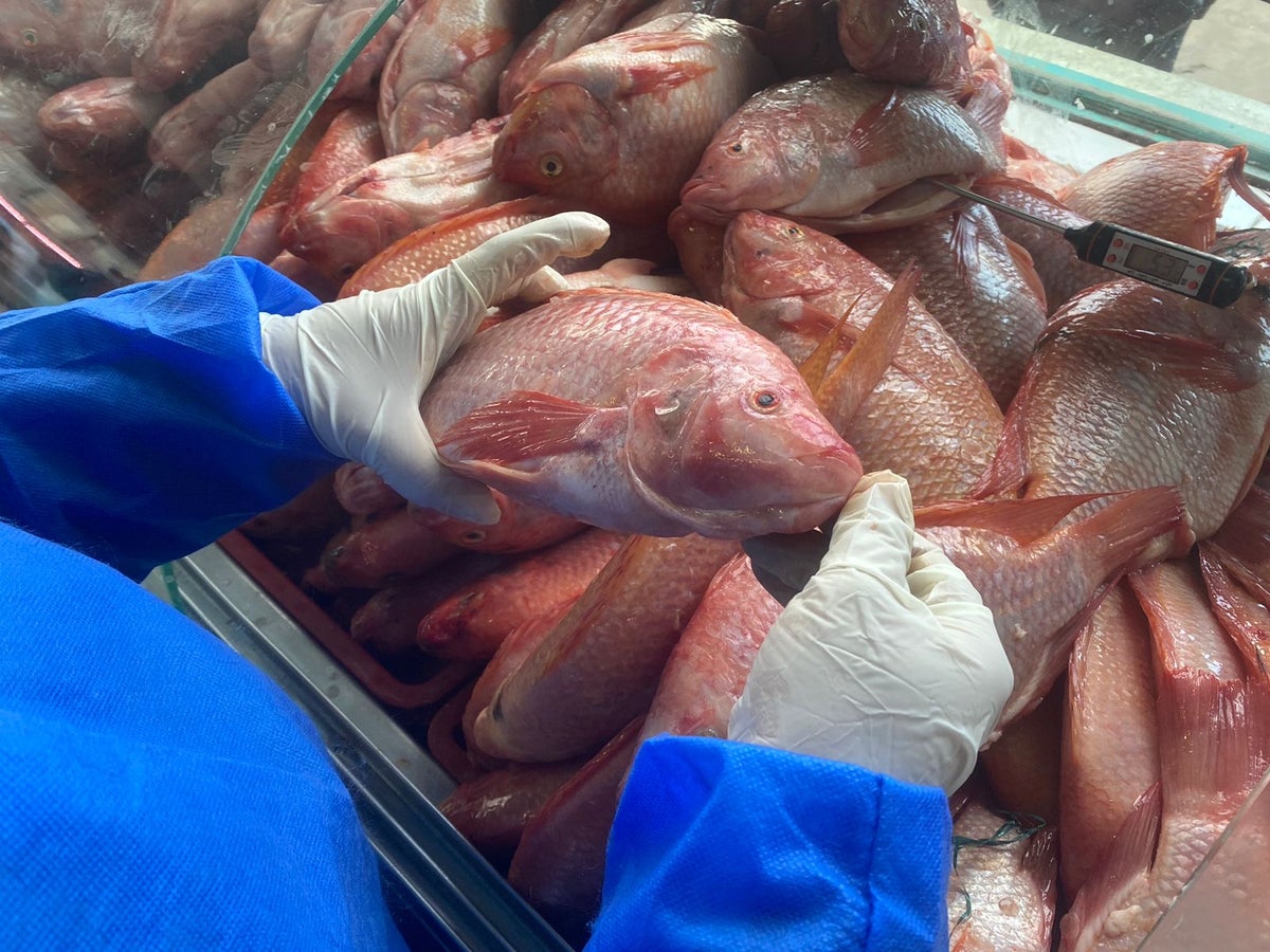 Pescado Semana Santa