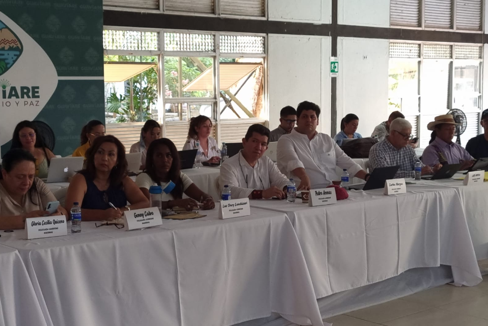 Diálogos de paz con el EMC