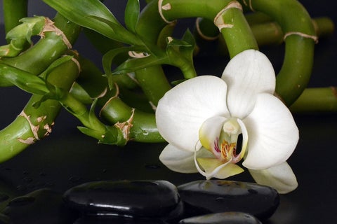 Cinco consejos del Feng Shui para su hogar