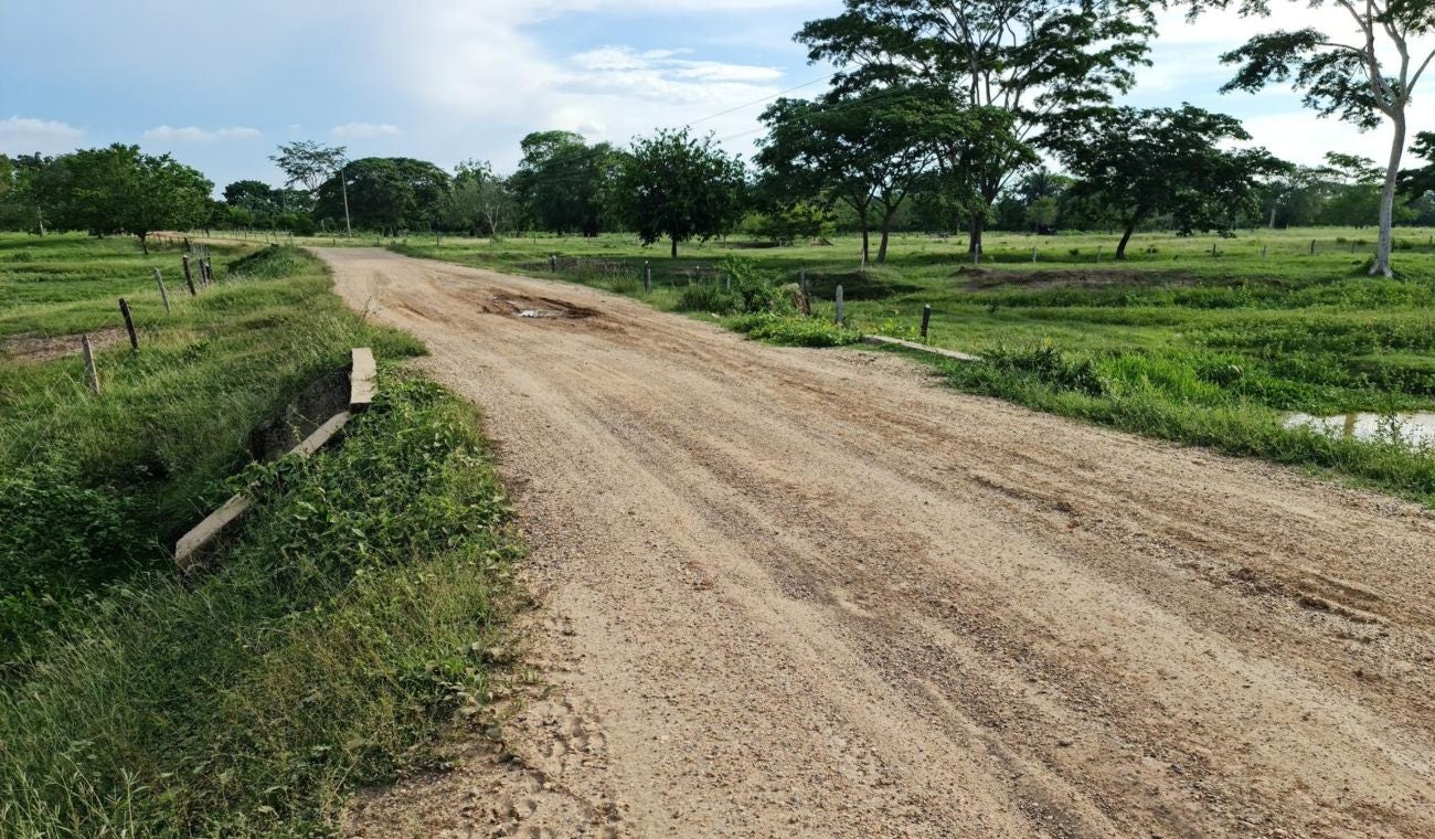 Guataca
