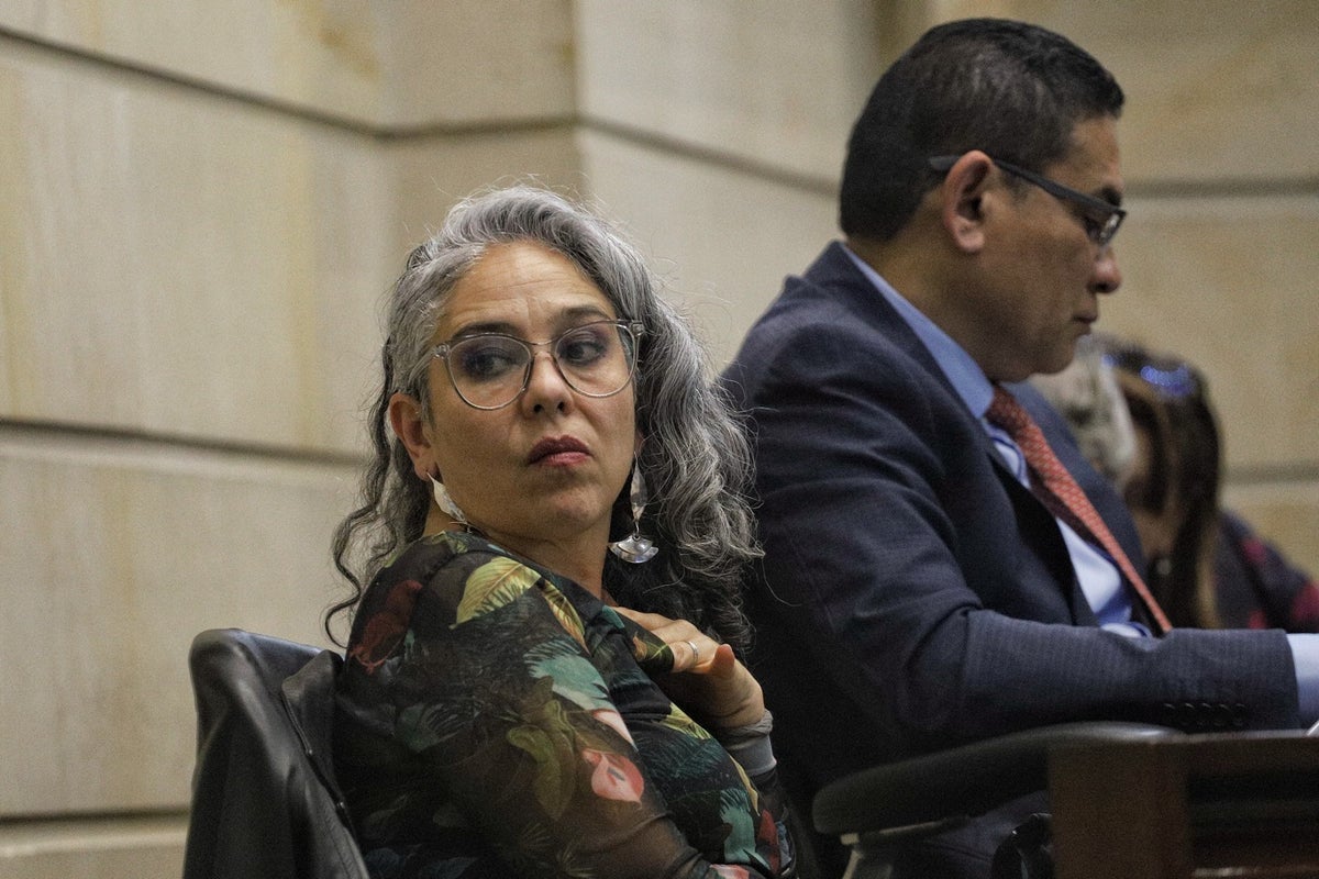 María José Pizarro, Senadora