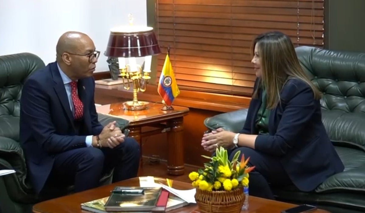 Luz Adriana Camargo