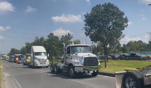 Transportadores