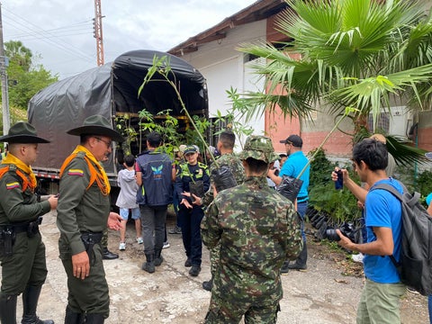 Inicia la primera jornada de reforestación en Cundinamarca
