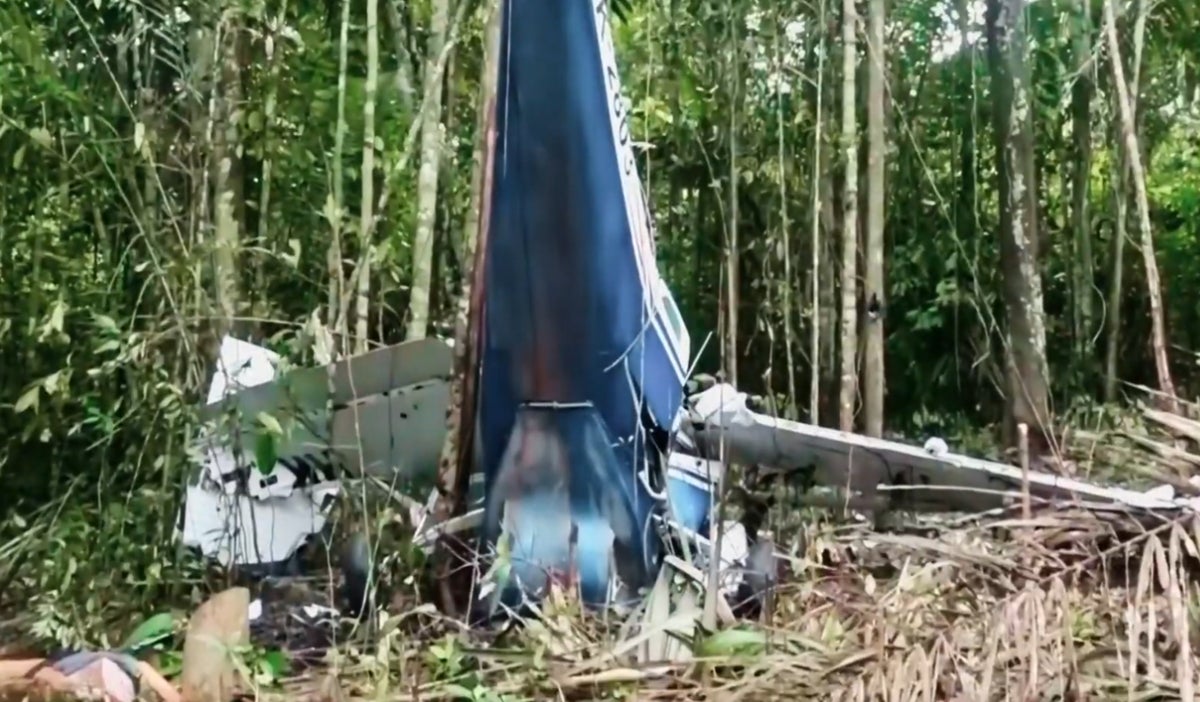 ¡Un milagro en la selva! Descubre la historia de los 4 niños que sobrevivieron 40 días en el Amazonas