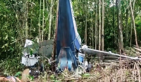 ¡Un milagro en la selva! Descubre la historia de los 4 niños que sobrevivieron 40 días en el Amazonas