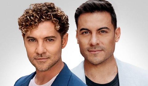 Bisbal