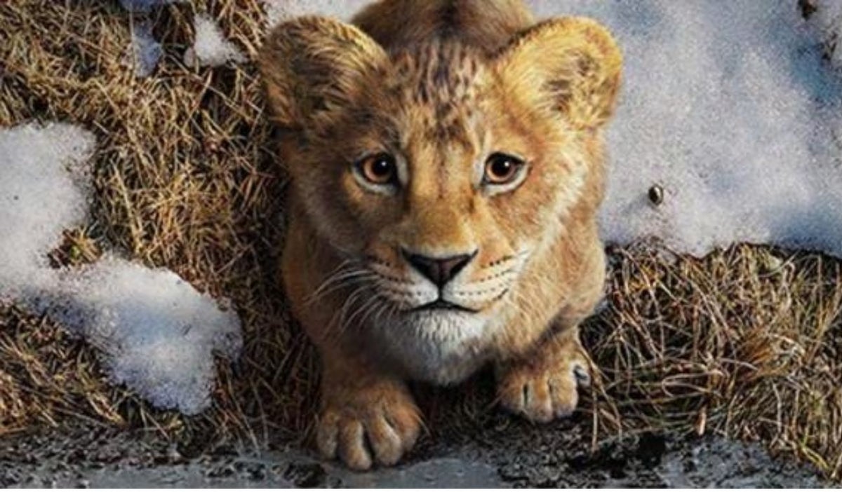 El Rey León