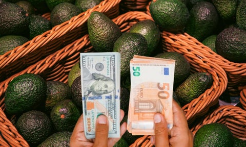 Requisito OBLIGATORIO para exportar a la Unión Europea