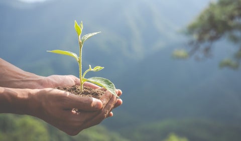 Medio ambiente