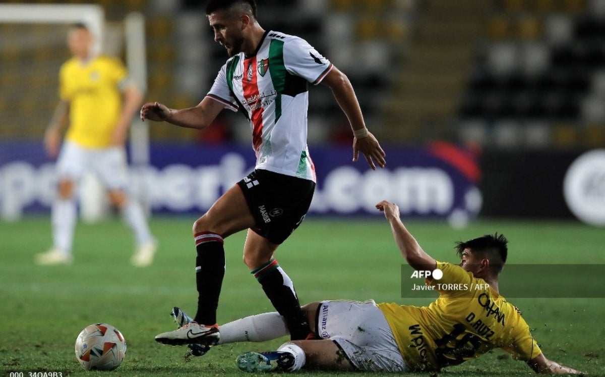 Millonarios pasó pena en Libertadores: perdió con Palestino