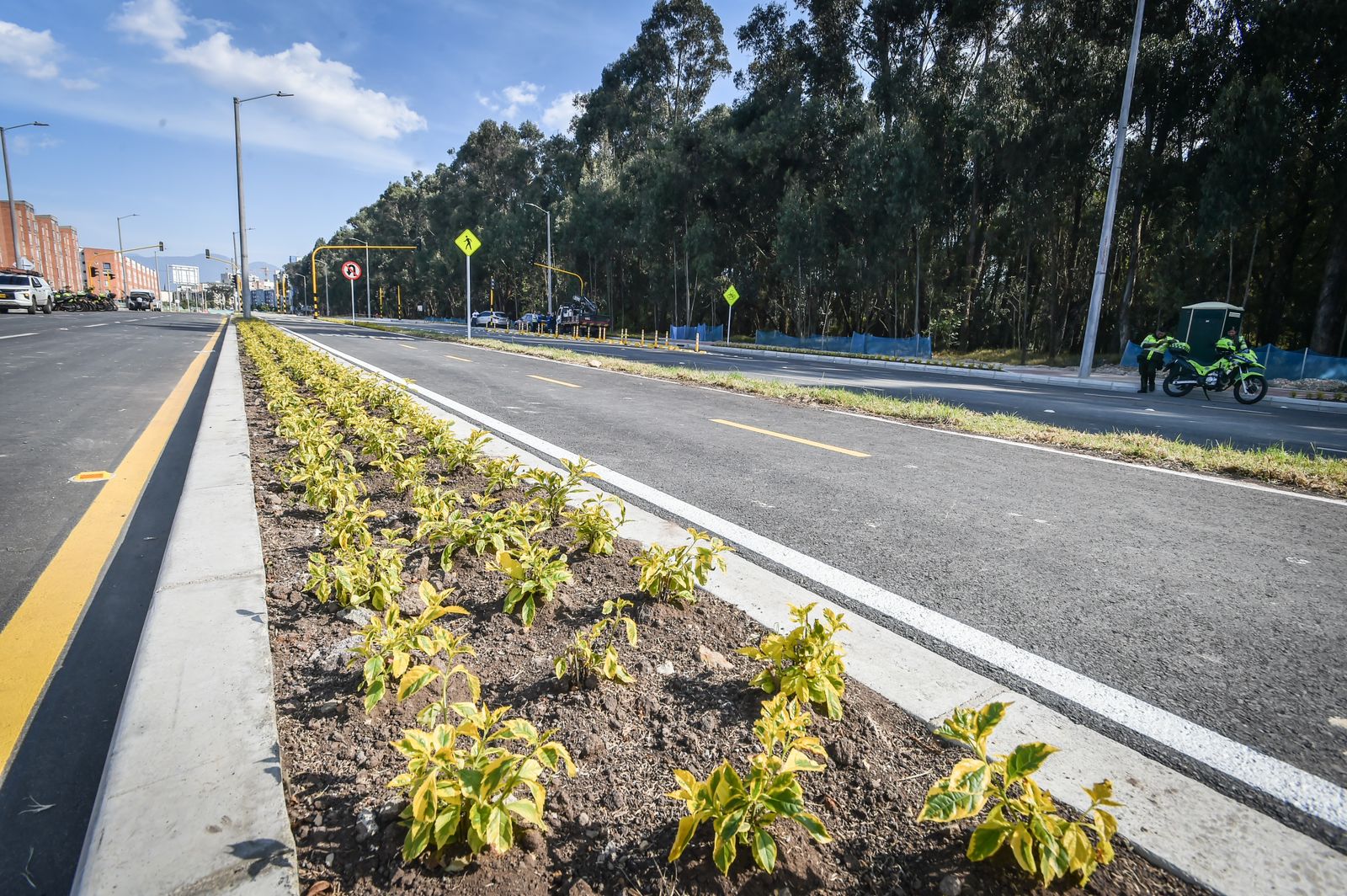 Avenida Guayacanes