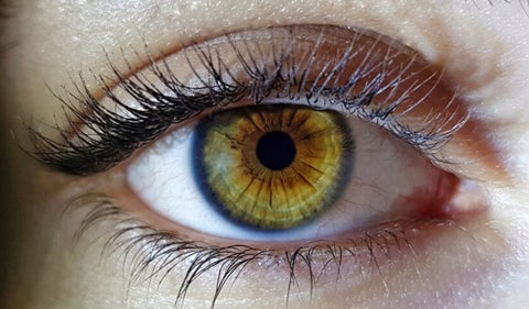 Blefaroplastia: ¿Qué es y cuáles son sus beneficios?