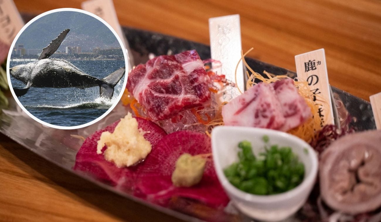 Chef colombiano comió ballena