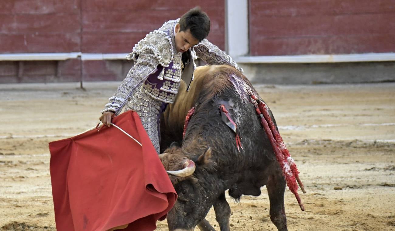 Prohíben corridas de toros en Colombia
