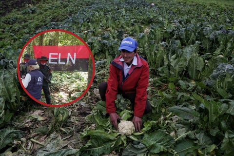 ELN agricultores