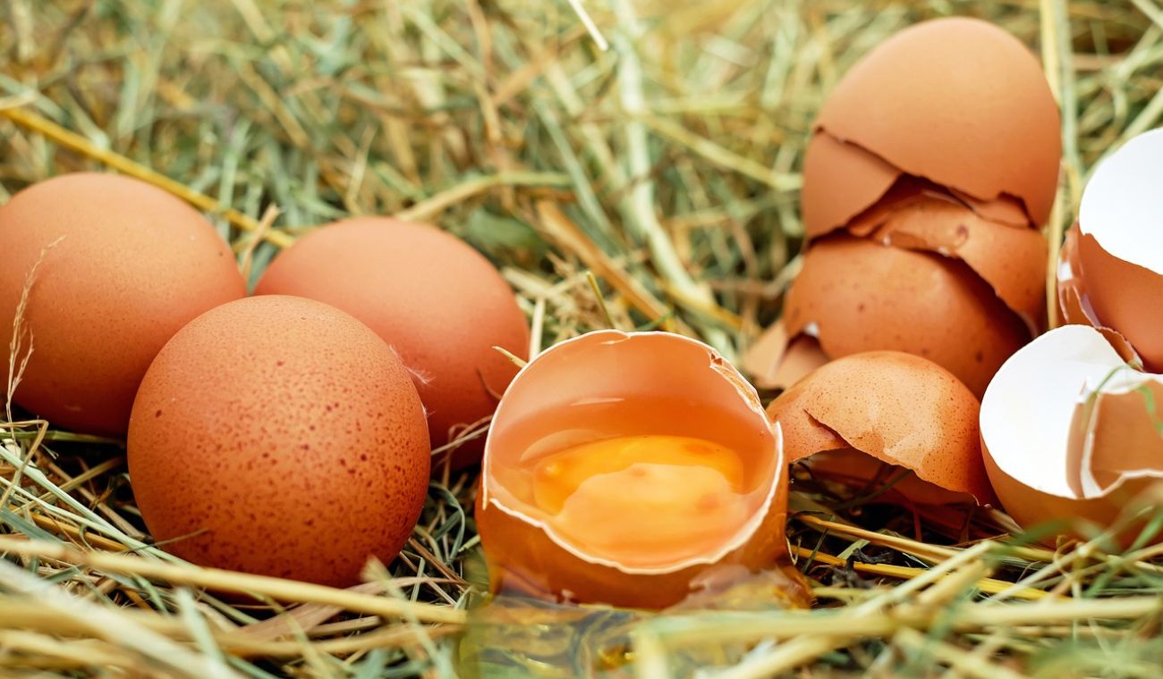 Huevos