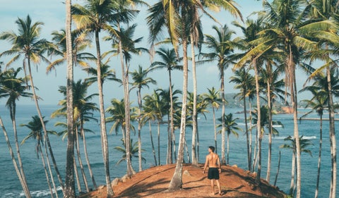 Isla