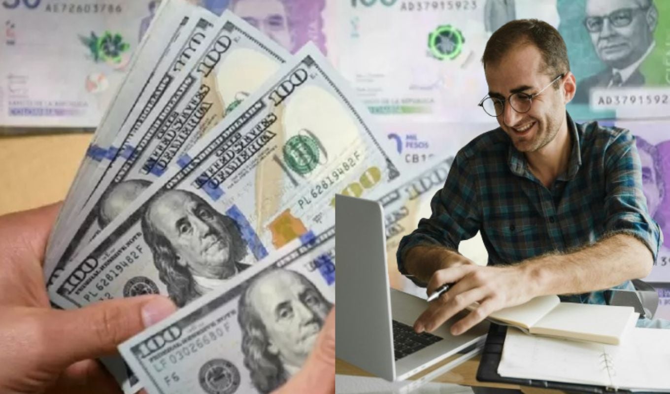 Dólares , billetes y una persona con un computador