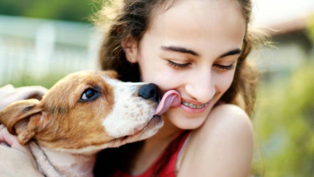 Besar a perros en la boca consecuencias