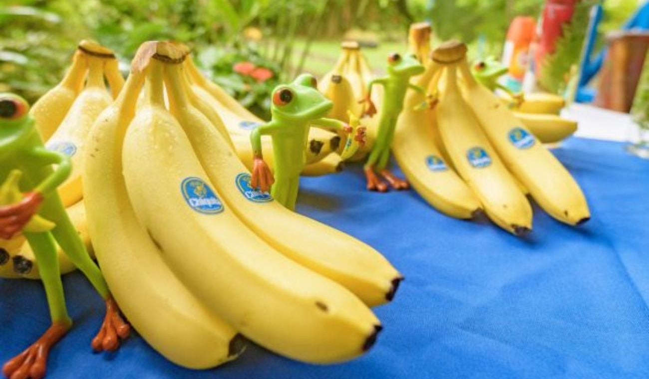 Chiquita Brands