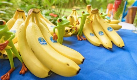 Chiquita Brands
