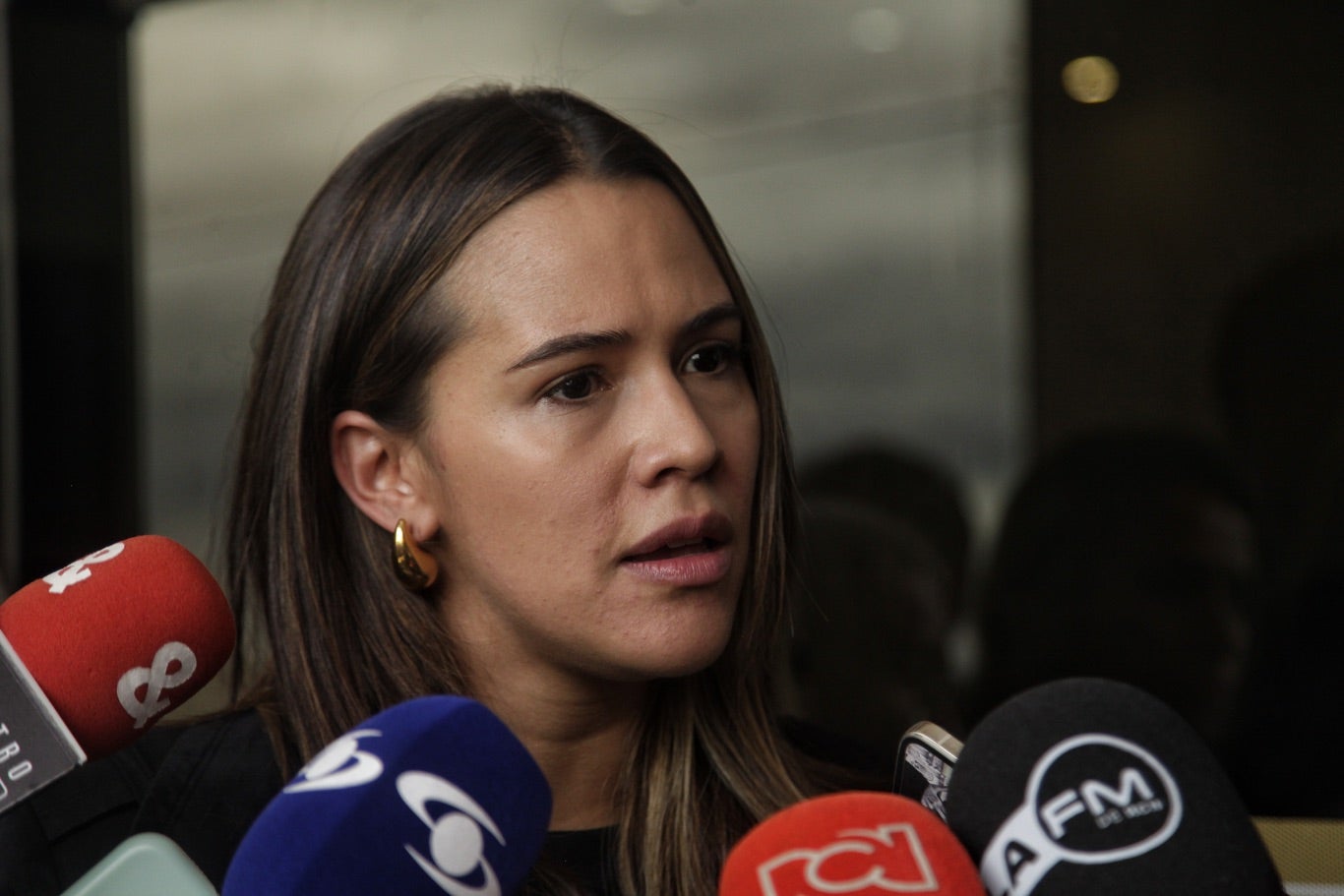 Maria Fernanda Carrascal, Representante a la Cámara