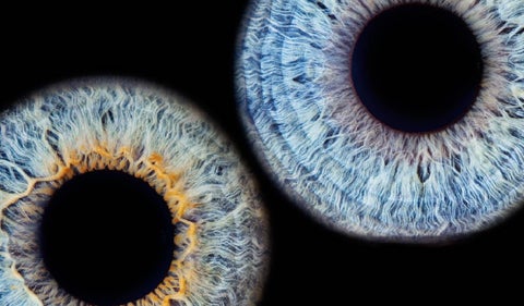 Iris de ojos: Obra de arte en Bogotá