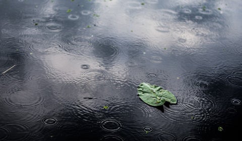 Lluvias en Ecuador