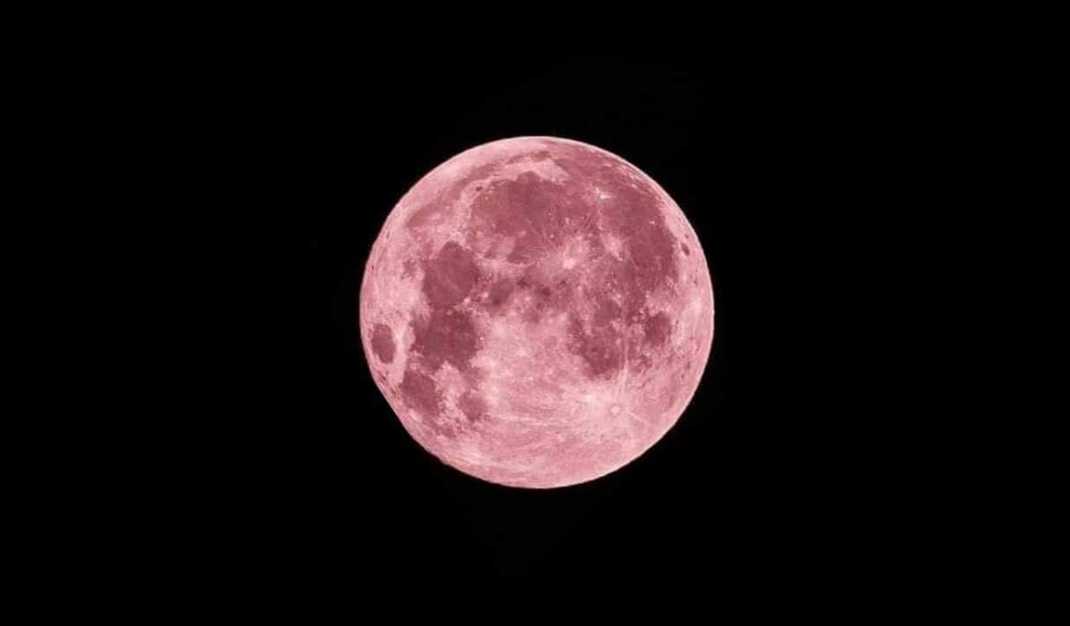 Admira la Luna de Fresa 2024 en Colombia. Descubre la hora