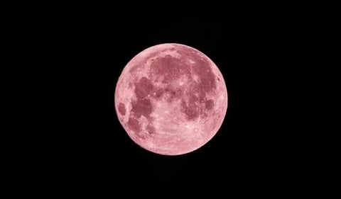 Admira la Luna de Fresa 2024 en Colombia. Descubre la hora