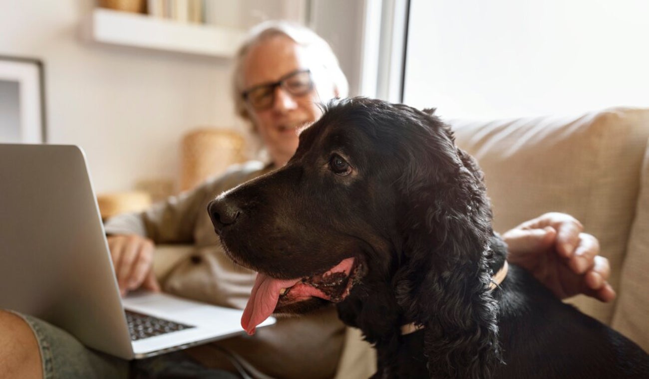 ¿A los perros les da COVID – 19?