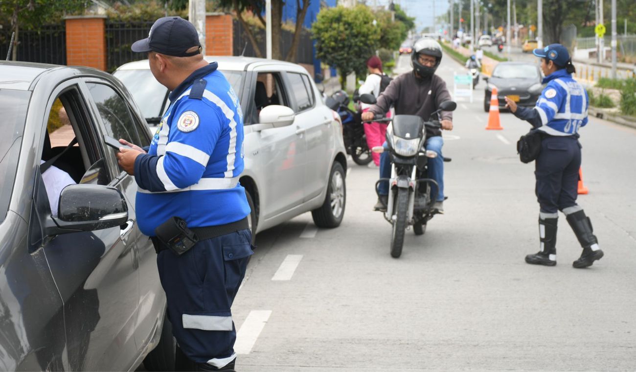 Seguridad vial