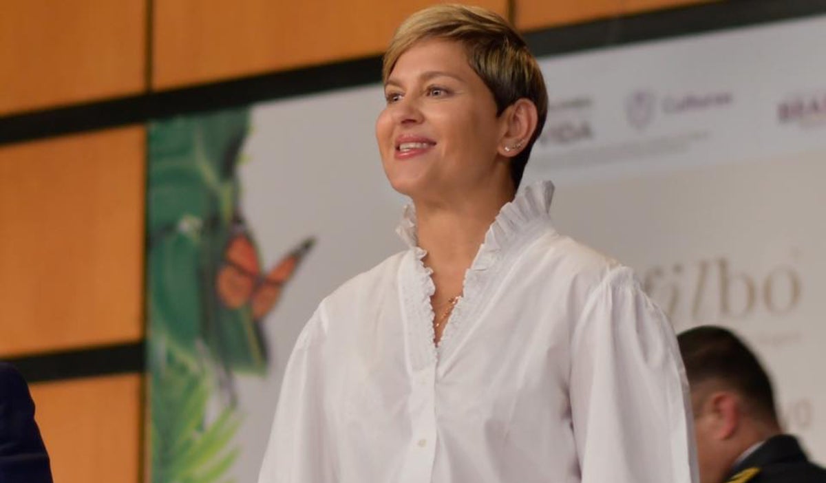Verónica Alcocer denuncia ‘fuego amigo’