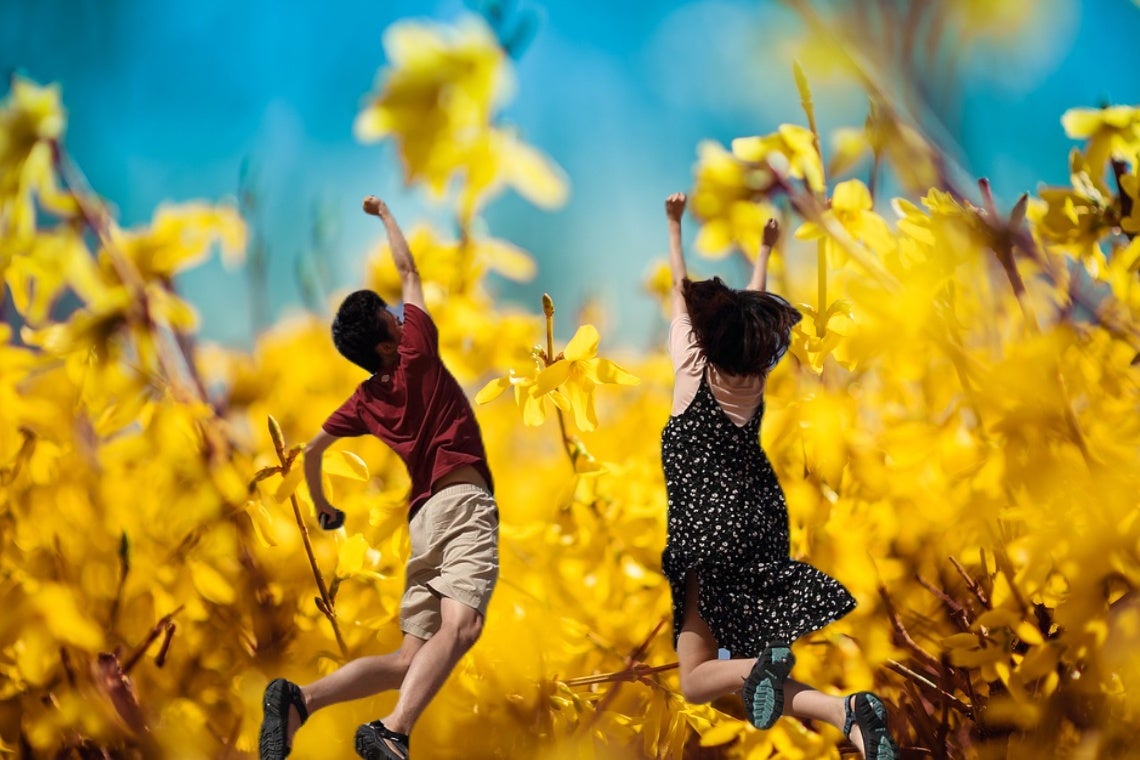 Yellow Day