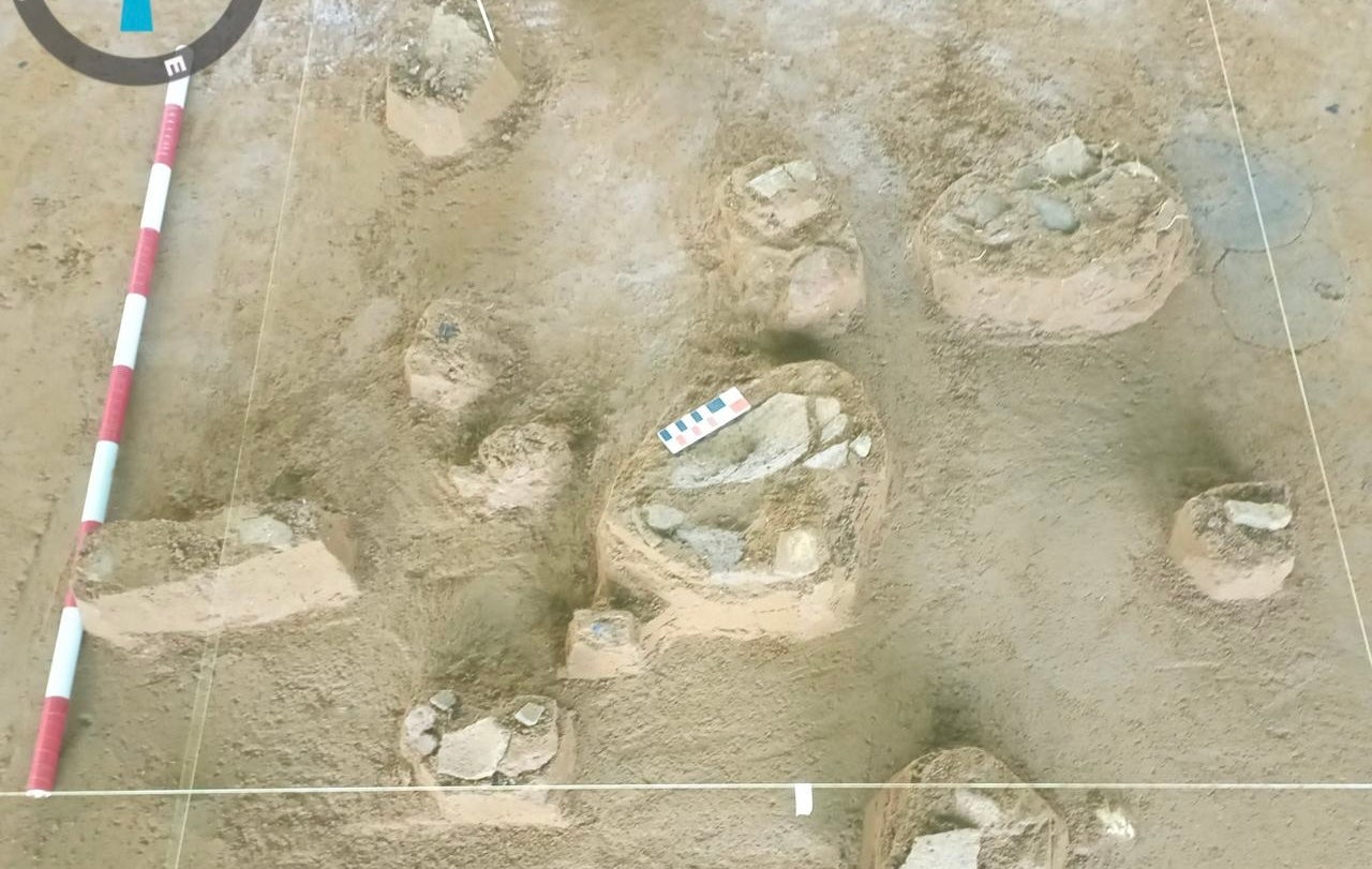 Hallazgos arqueológicos Ecopetrol